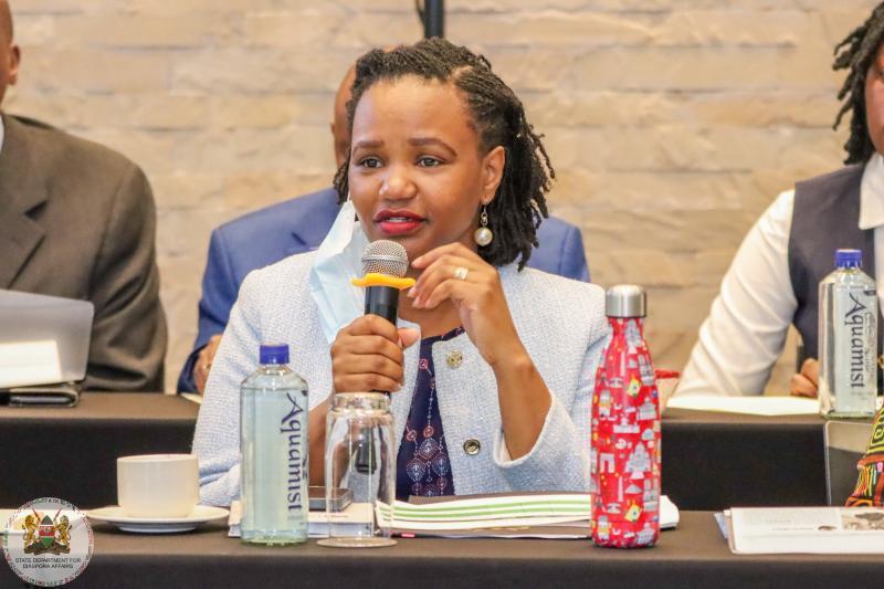 File image of Diaspora Affairs PS Roseline Njogu